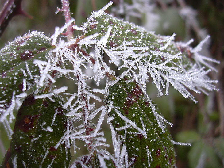 Hiver_27_vers Sauliac_© Guy Andissac.jpg